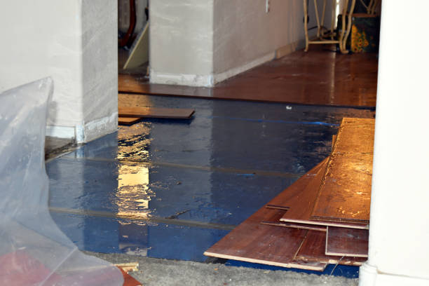 Professional Flood Cleanup technician working in Wayland, IA